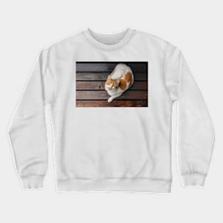 Animal Images Crewneck Sweatshirt